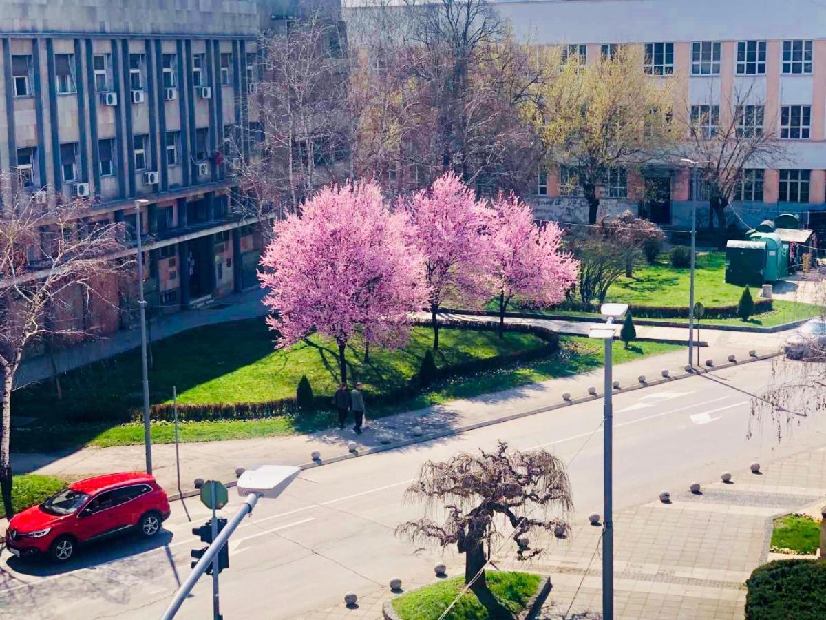 Bella Studios Крушевац Екстер'єр фото